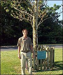 Árbol de la Luna en el Instituto Goddard. Dave Williams ha logrado rastrear 50 árboles de la Luna.