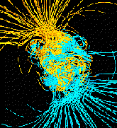 Animación, fruto de un modelo por computadora, que muestra la inversión del campo magnético terrestre (dentro de mil años). Las azules, son líneas entrantes y las amarillas son salientes