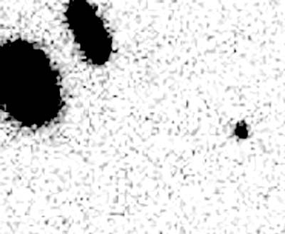 El punto negro de la derecha es el 2002 AA29. (Foto: Clarín)
