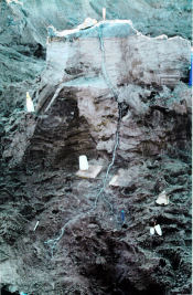 La 
Fulgurita excavada más larga del mundo