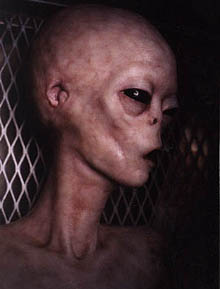 Imagen típica de humanoide extraterrestre